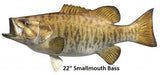 Bass, Smallmouth