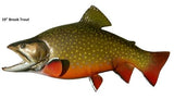 Trout, Brook