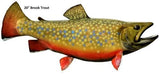 Trout, Brook