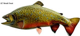 Trout, Brook