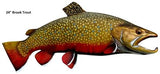 Trout, Brook