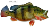 Bass, Peacock
