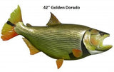 Golden Dorado