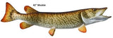 Muskie
