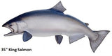 Salmon, King