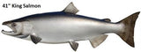 Salmon, King