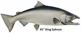 Salmon, King