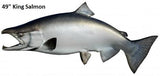 Salmon, King