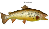 Trout, Brown