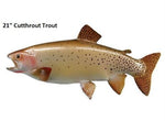 Trout, Cutthrout