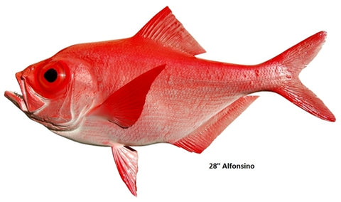 Alphonso Fish IGFA World Record Tool – IGFA Store
