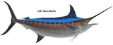 Marlin, Blue