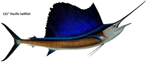 輸入雑貨 Freeport Texas Sailfish Billfish Marlin Saltwater Tank Top BlackMarlinFishMounts_148-