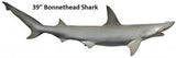 Shark, Bonnethead