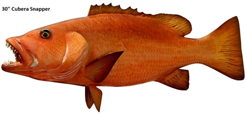 30 Cubera Snapper (Left) – IGFA Store