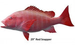 Snapper, Red