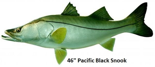 snookpacificblack46-2_600x600.