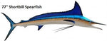 Spearfish, Shortbill