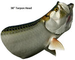 Tarpon