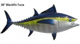 Tuna, Blackfin