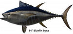 Tuna, Bluefin