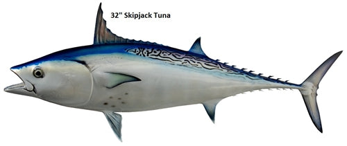32 Yellowfin Tuna – IGFA Store