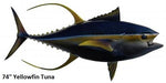 Tuna, Yellowfin